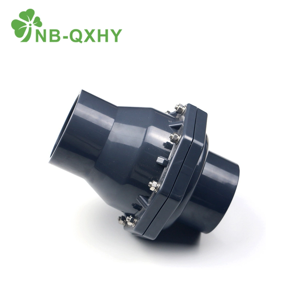 PVC DIN Standard Chemical Industrial Series Pn16 DN15-200 Water Supply Non Return Check Valve