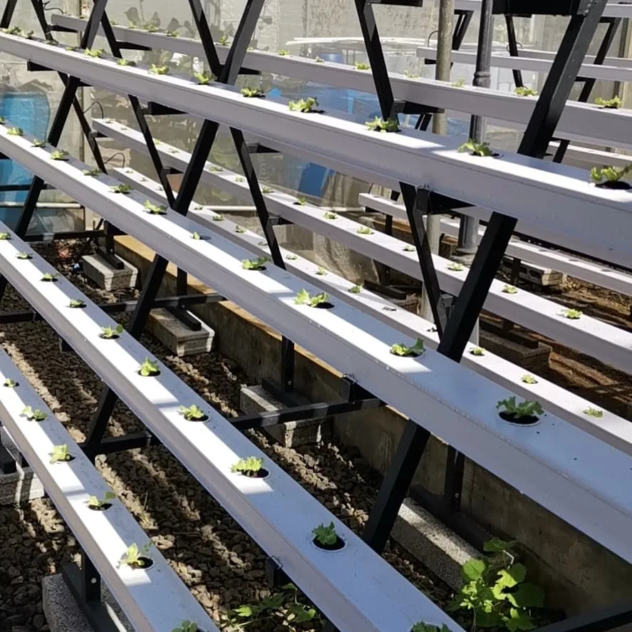 Hydroponics Channel for Hydroponic Growing System Hydroponic Greenhouse Systems