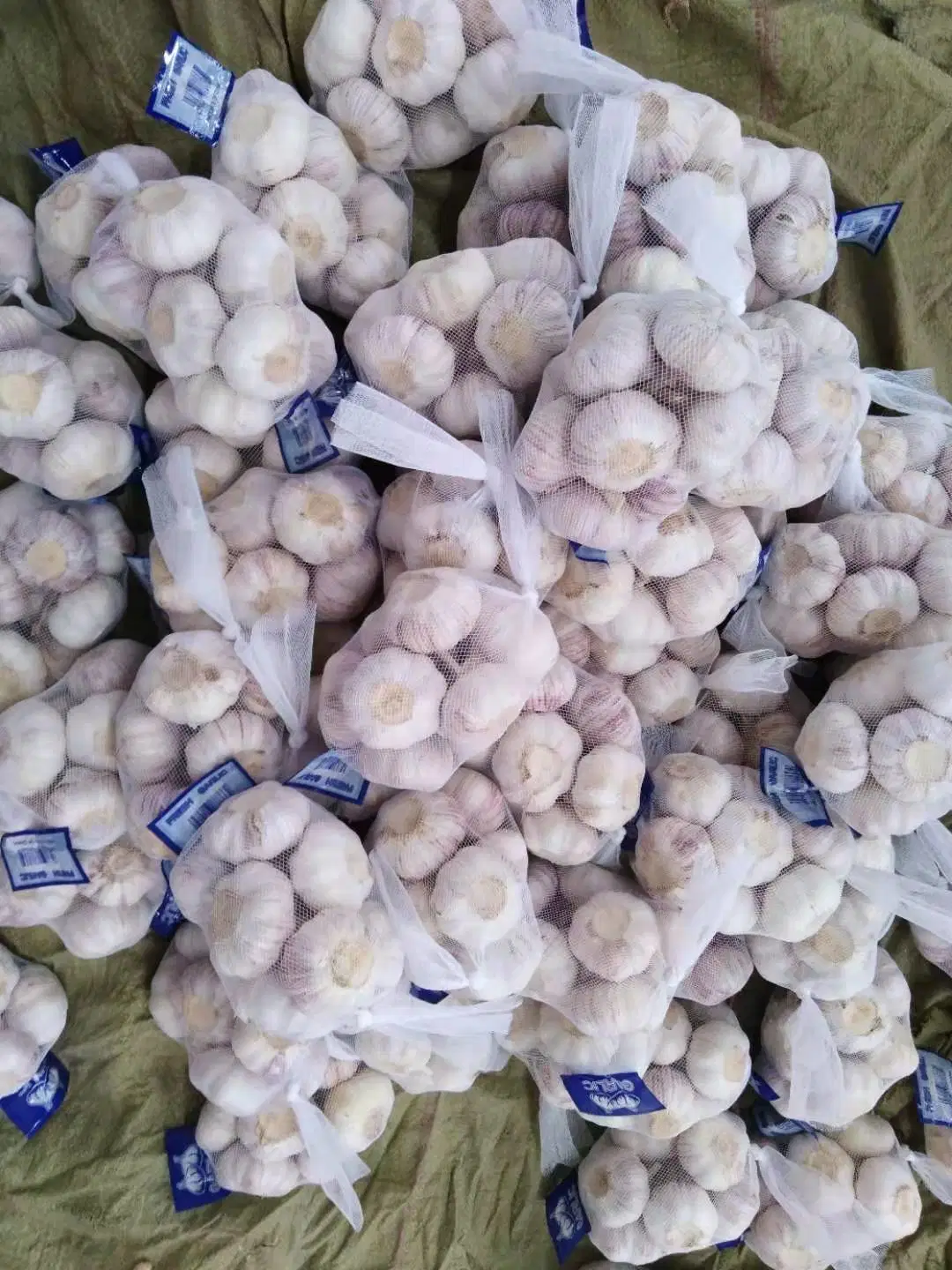 Fresh Small Pacakge White Garlic with High quality/High cost performance Standard