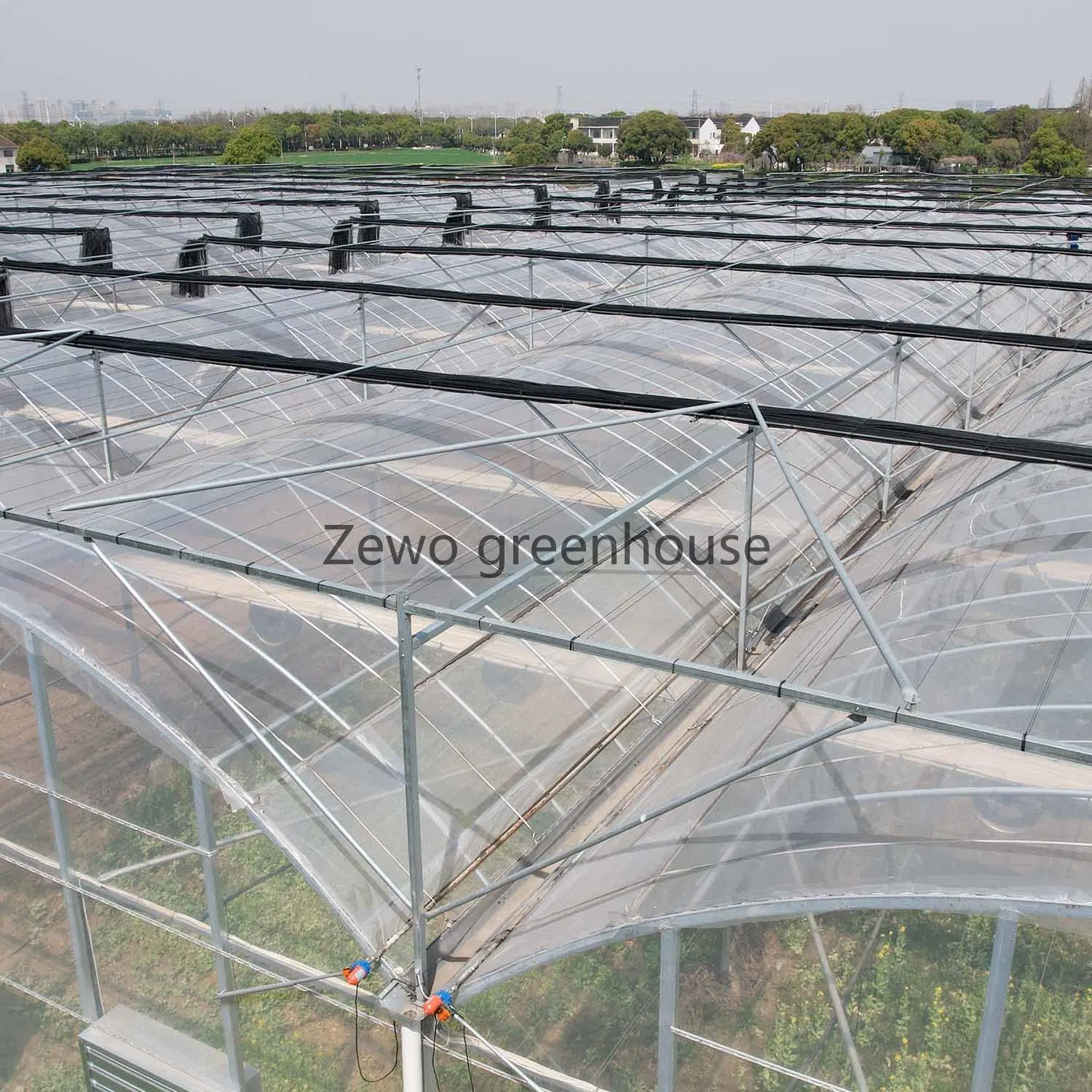 Customized Greenhouses Project Multi-Span Plastic Film Green House for Vegetable