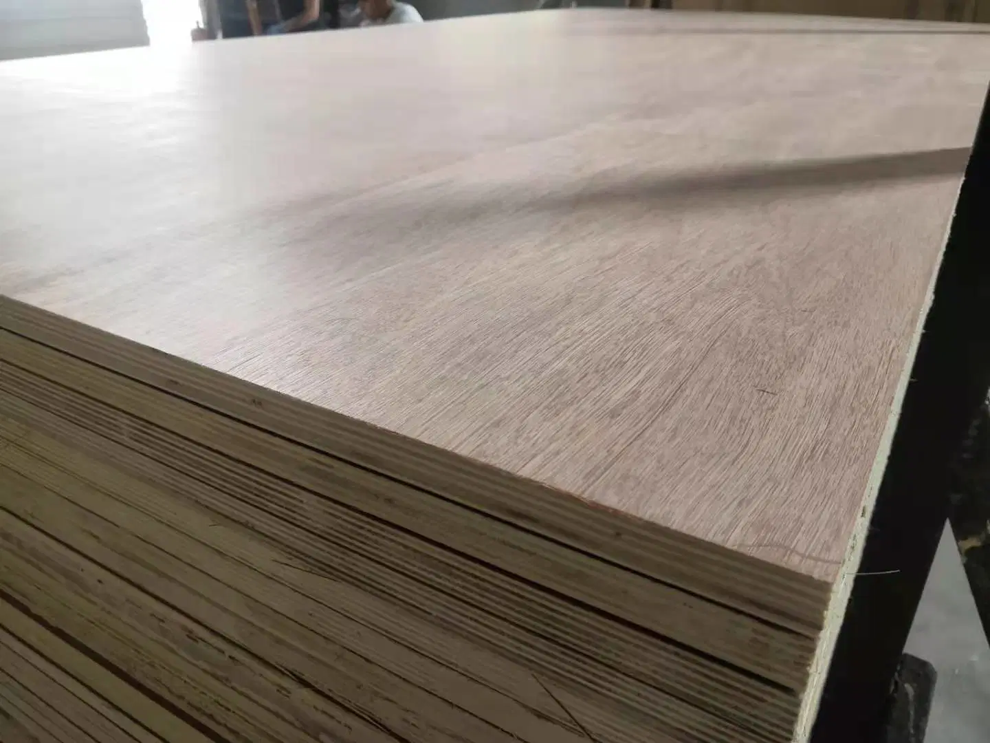 4 X 8 Size Hot Sales Fresh Poplar Core Okoume Veneer Bb / Bb Cc / Cc Marine Plywood for Furniture