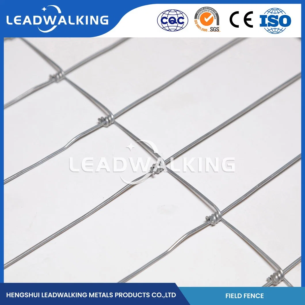 Leadwalking Green Field Fence Custom Farm Fence Wire Atacadista China Espaçamento de 5 cm entre ervas weft, vedação articulada, cerca