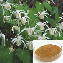 10%-98% Icariins Epimedium Extract/ Horny Goat Weed Extract