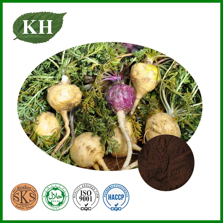 High Quality Maca Extract Macamide, Macaenes, Maca Extract Powder