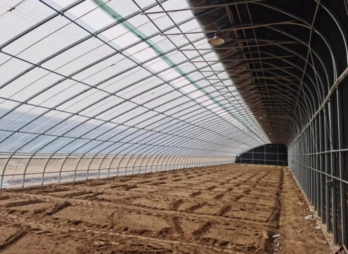 Agricultura / vegetal estufa de filmes Solar com Hidroponia / Aquapônico / Controle Automático de clima para tomate / Flor / Strawberry / Fazenda / pepino / Lean Para estufa