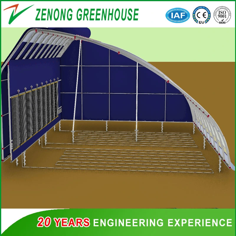 Quick Heat Accumulation Quick Heat Releasing Plate System Specially for Solar Greenhouse Cold Season Vegetables Culture with Low Cost Zero Energy Consumption