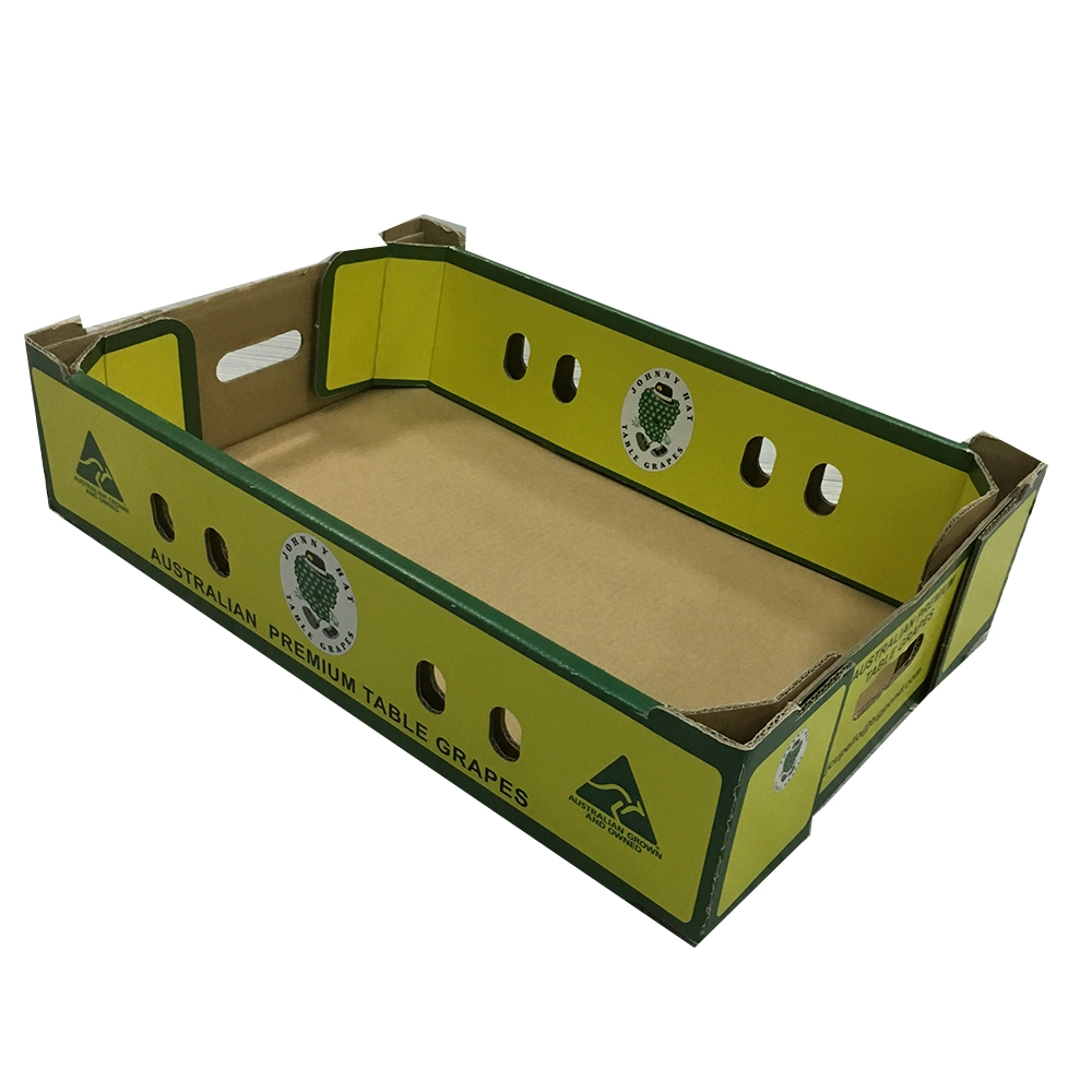 Heavy Duty Fruit Holder Fruit Box for Grapes Packaging