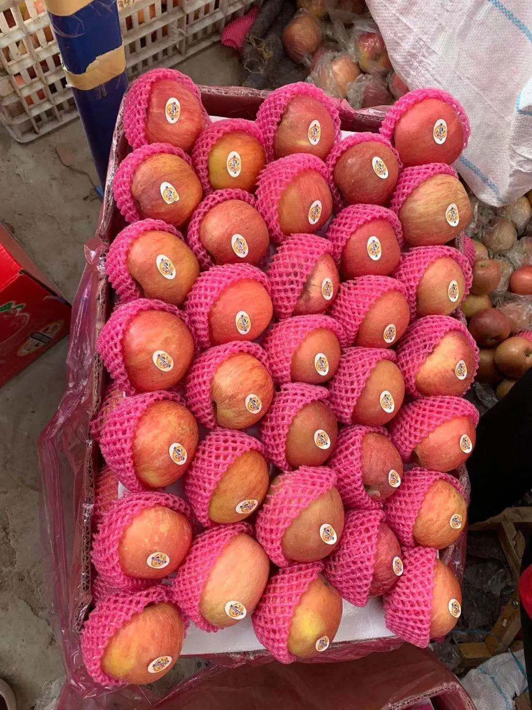 Frische Früchte Apfel Kunststoff verpackt FUJI Rot Rosa Farbe