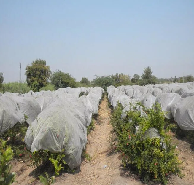 Suministros agrícolas de cine UV de gases de efecto invernadero vivero protegidas que cubren los materiales no tejidos