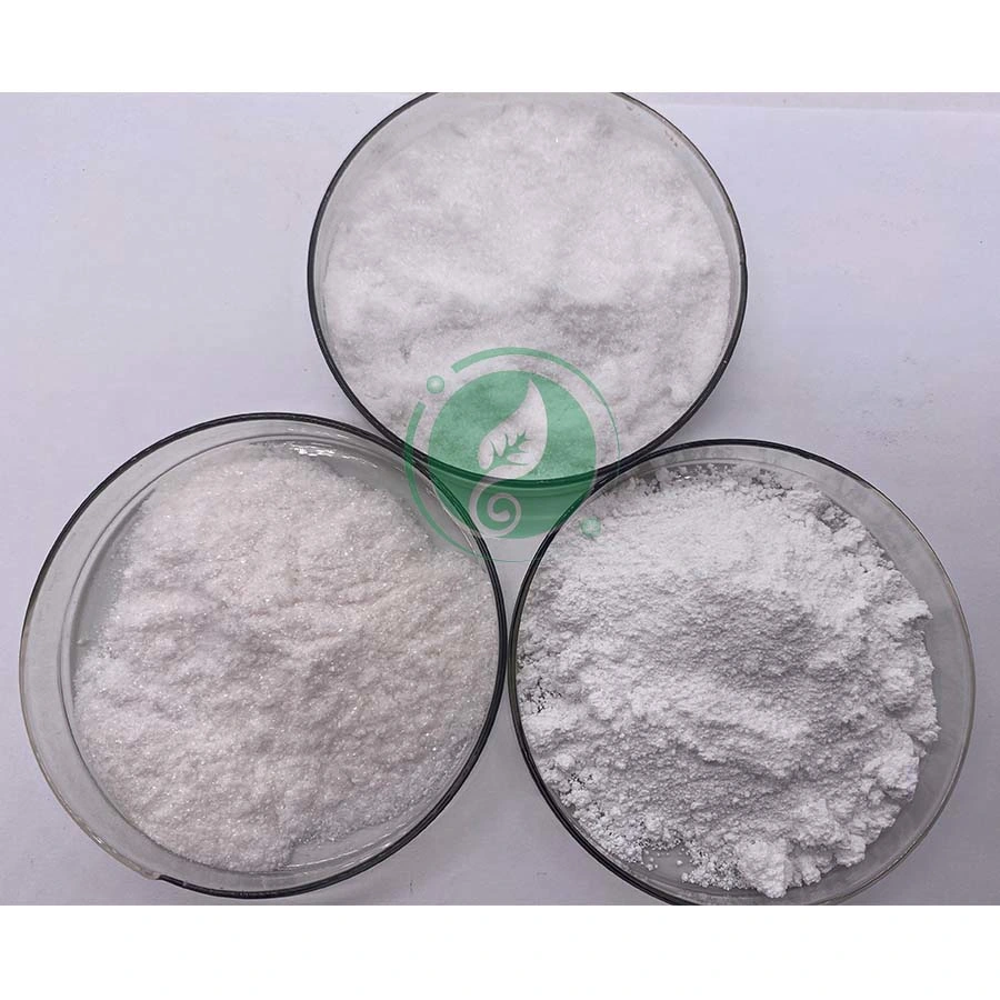 High quality/High cost performance  Antibacterial Drugs CAS 7177-48-2 Ampicillin Powder