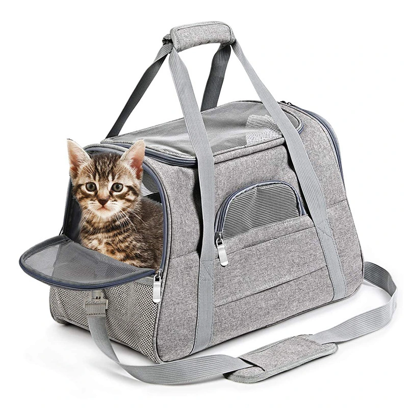 Durable Breathable Foldable Soft Sided Mesh Outdoor Pet Dog Carrier