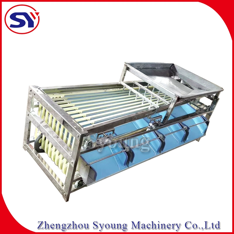 Jujube Date Longan Track Fruit Sorting Grading Machine