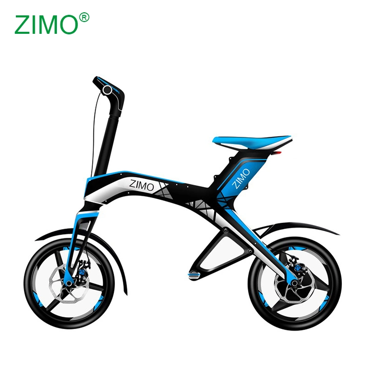 2021 New 48V Cheap Foldable Electric Bike for Sale