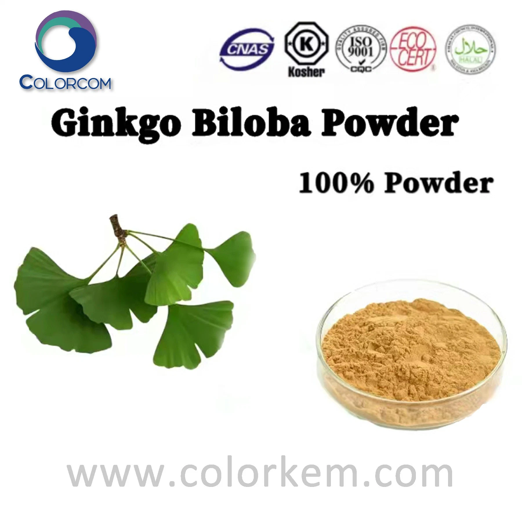 Ginkgo biloba Extract 0.8-1.2% Ginkgo flavone glycides CAS 90045-36-6