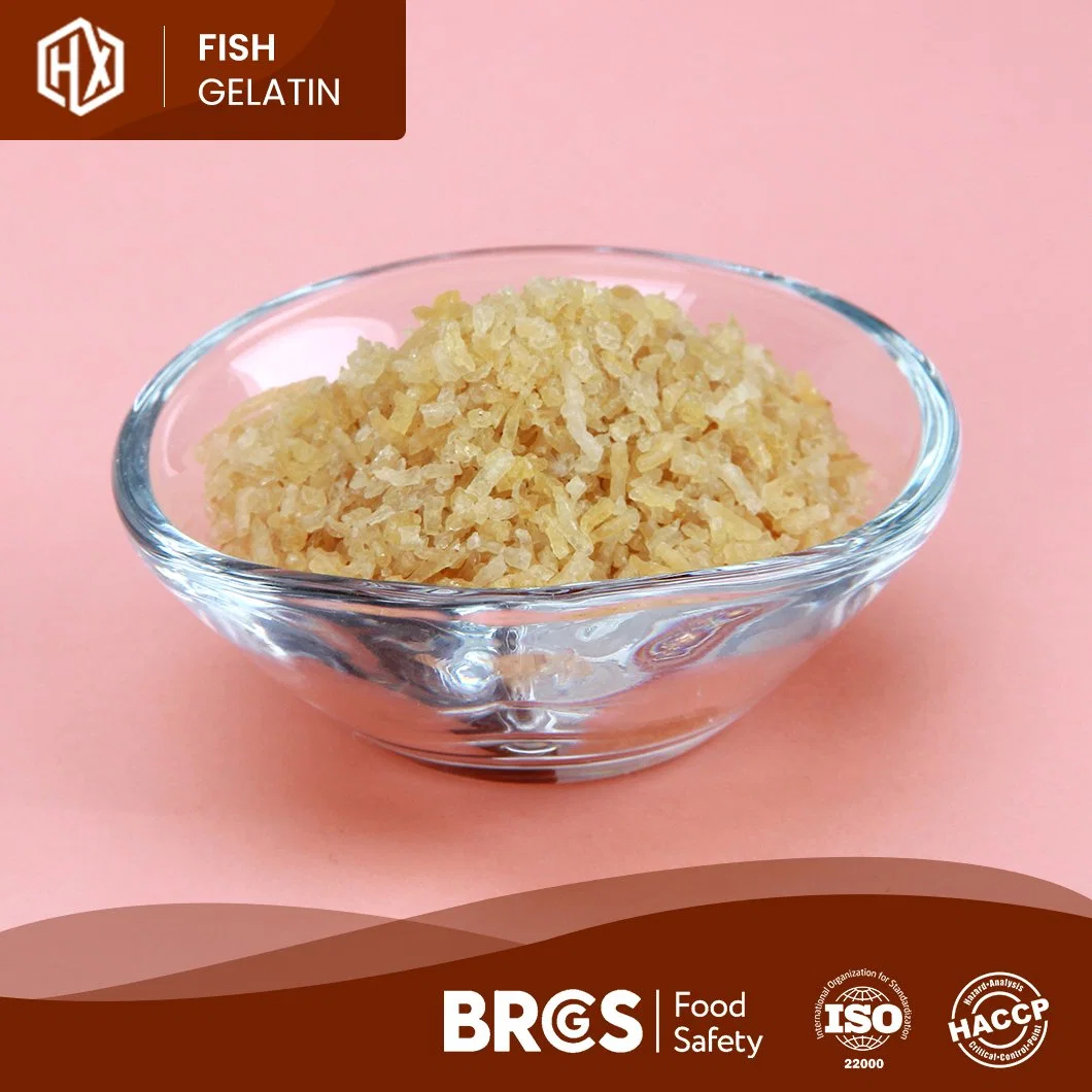 Grossista Haoxiang bacalhau em pó de gelatina de pele China Pharma Bacalhau Pele Fornecedores de gelatina de peixe bacalhau em pó de gelatina de pele Skin-Whitening Anti-Wrinkle