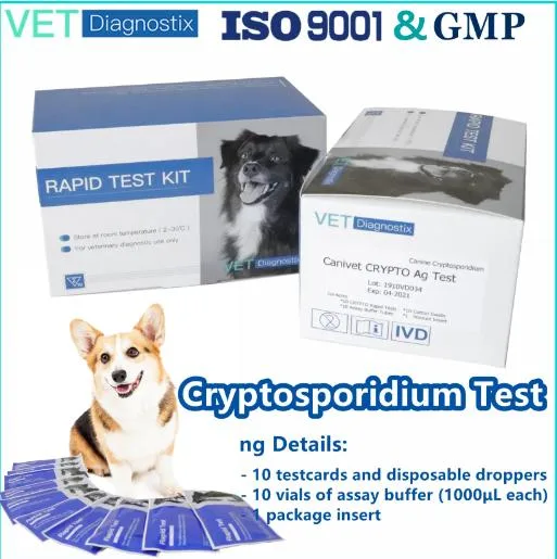 Canine Cryptosporidium Antigen Test rapide Canivet Crypto AG Test