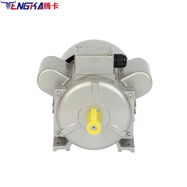 Tengka 240V AC Motor 300 Rpm 15000 Rpm 4000rpm AC Gear Motor 220V