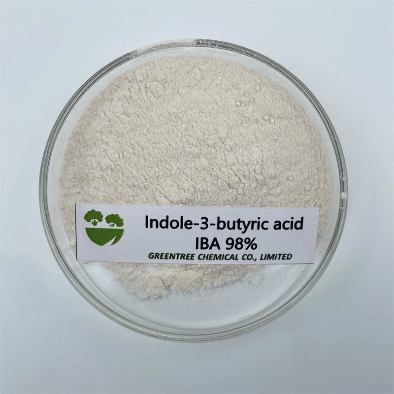 Indolebutyric Acid Indole-3-Butyric Iba 98%Tc