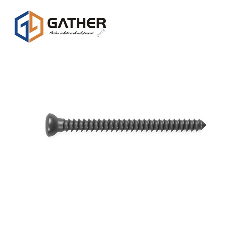 Titanium Gather Sterilized, PE Bag, Carton Package Polyaxial Spine Pedicle Screw Implant