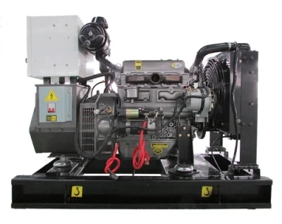 10kw 1000rpm Natural Gas CHP Generator CE Certified