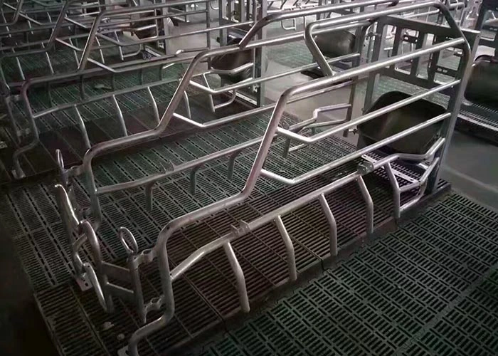 China Manufacturer Pig Equipment Swine Farrowing Pen