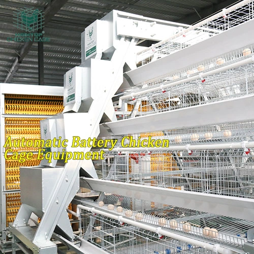 Automated Poultry Farm Equipment A Type Layer Chicken Cage with Automatic Feeding System