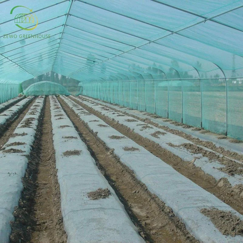 Hot Sale High-Quality Single Span Commercial Tunnel Plastic Film Greenhouse for Sale