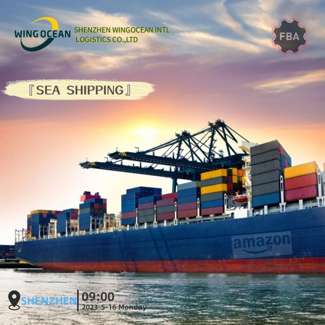 Shipping Company Amazon DDP Shipping Agent Freight From China to USA/Europe/ Worldwide