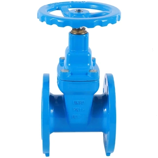 Sewage Water|Clean Water Pipe Resilient Seated Gate Valve