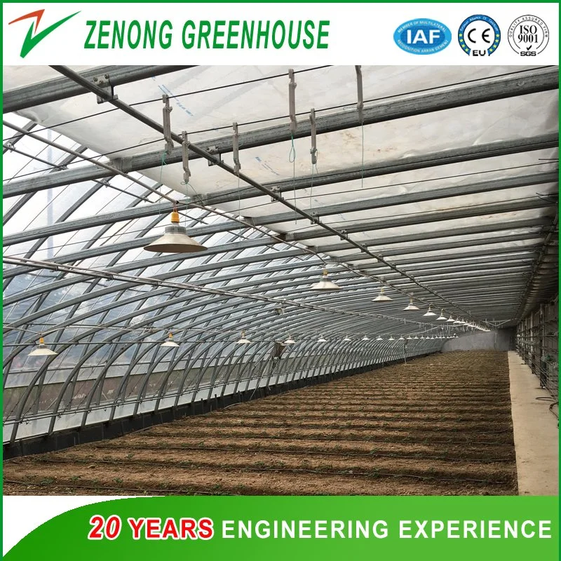 Easy Operation Small Size Single Span Po/PE/EVA Film Green House for Gardening/Hydroponics/Hotel Vegetable Cultivation