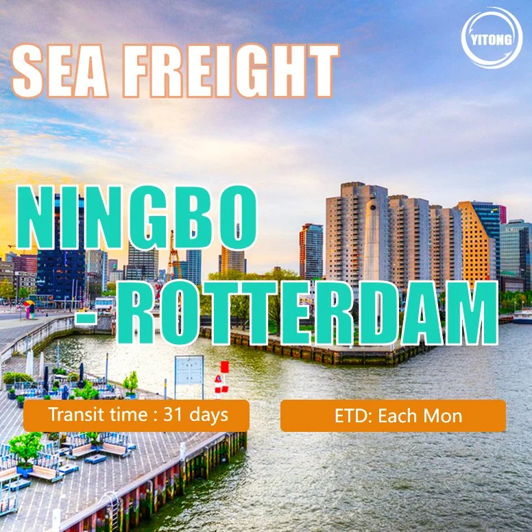 Sea Freight Rate From Xiamen to Rotterdam