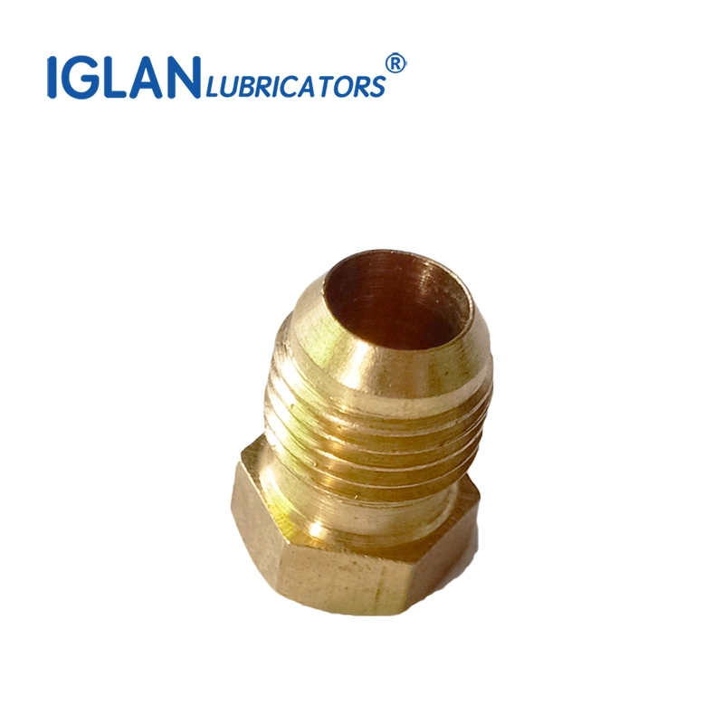 Hex Pipe Fitting Brass Material Plug Oil Pipe Closure Plug Grease Tube Valve Fittings