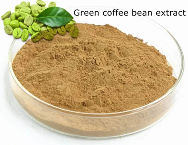 Haut grade des grains de café vert biologique extrait 45 % de l'acide chlorogénique