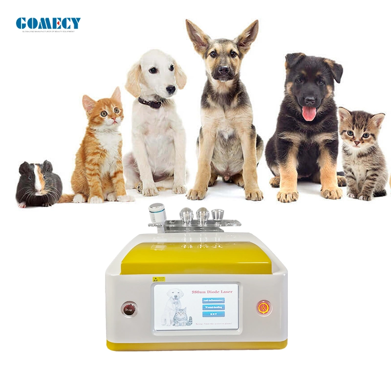 Laser Veterinary Equipment Pain Relief Treatment Massage Device for Pets