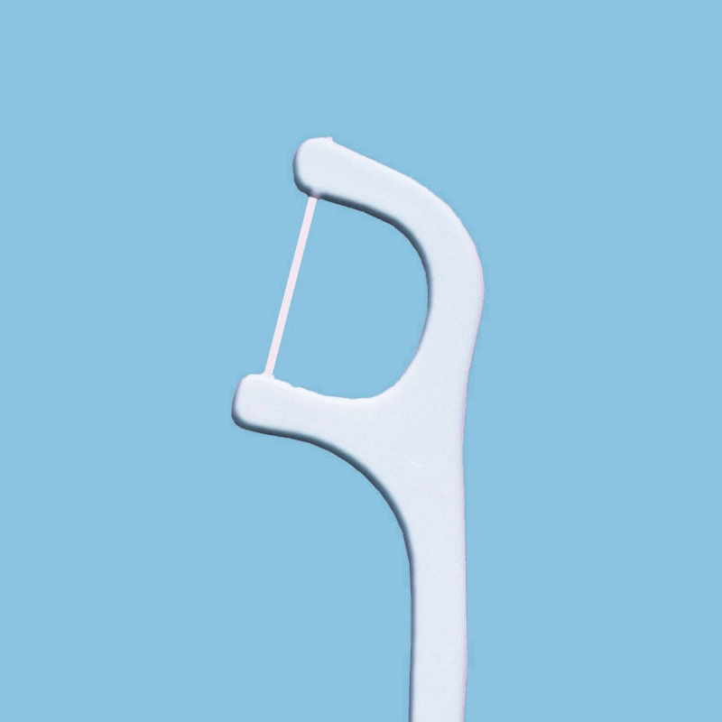 Floss Dental Floss Pick Oral Care Products