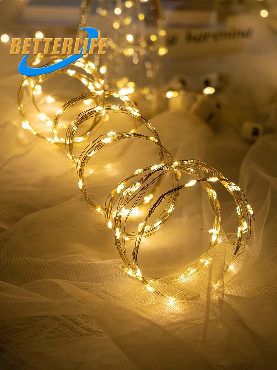 10m 20m 30m 50m 100m Outdoor Home Party Waterproof for Christmas Wedding Holiday Decoration LED Lights String LED Outdoor Christmas Light