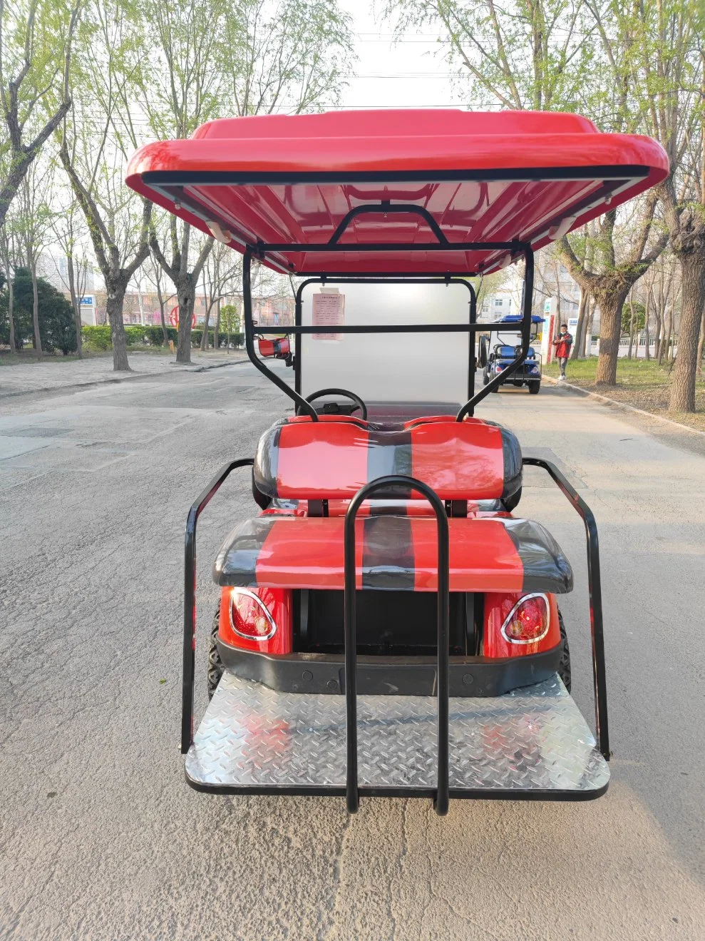 10 Seater Gas Powered Motor Golf Car with LED