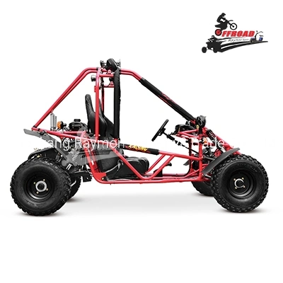 China Double Seat Racing 4 Stroke Go-Kart