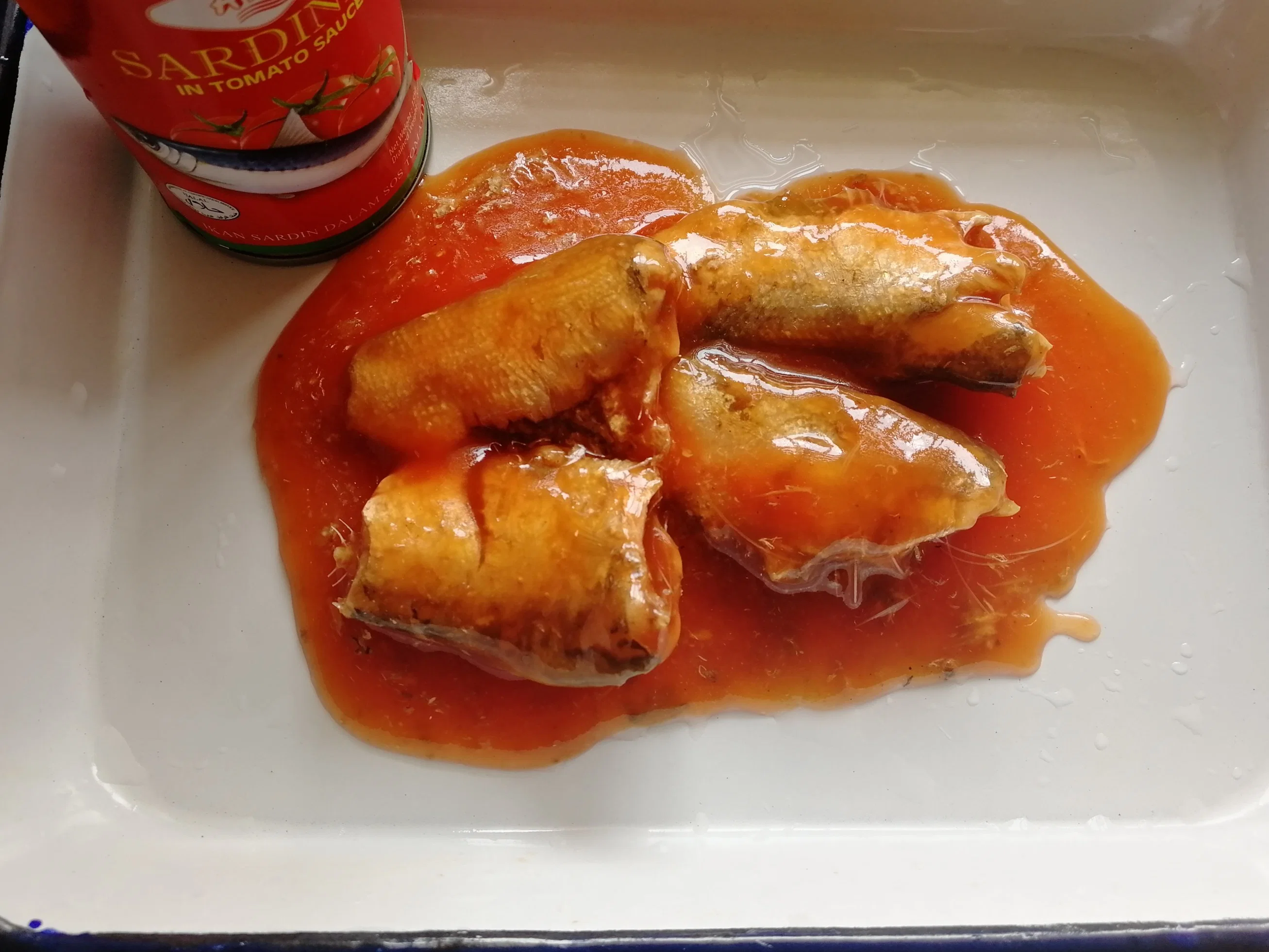 Canned Fish Canned Sardine in Tomato Sauce 155g/425g