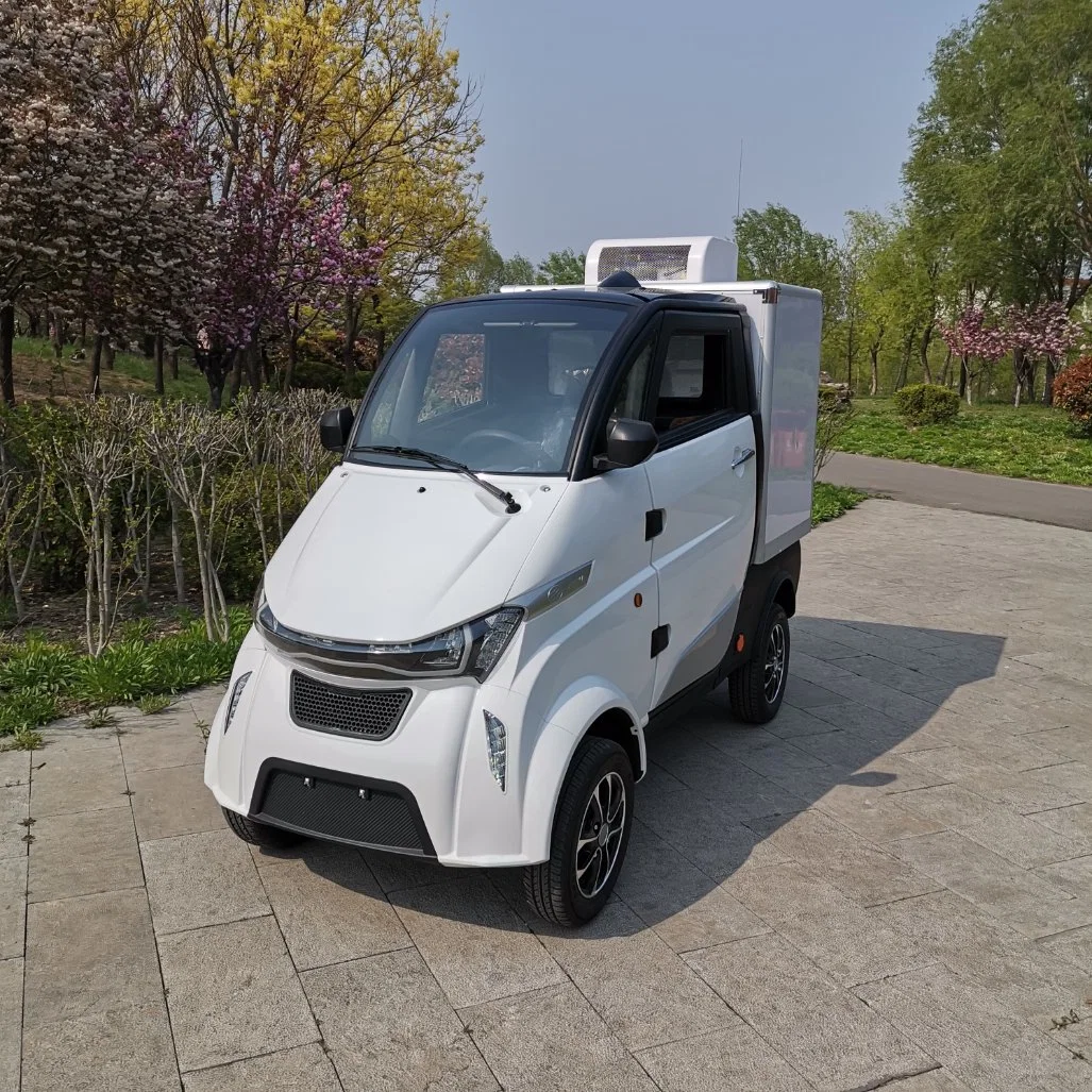 Chinese Electric Truck Electric Cargo Van 4 Wheel Electric Car with EEC Certification Without Driving License