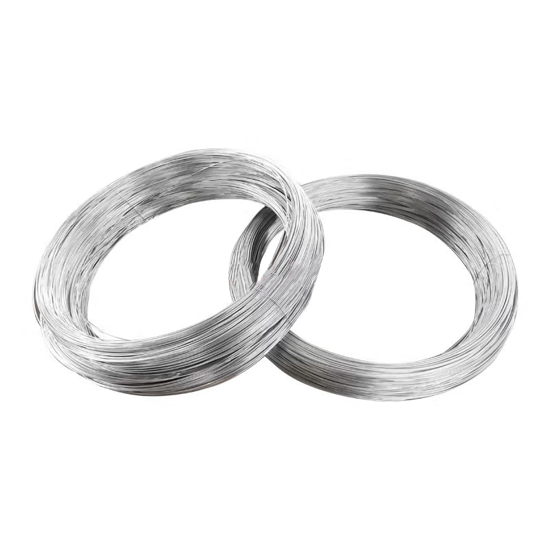 Gi Binding Wire Galvanized Steel with Hot Dipped/Oval