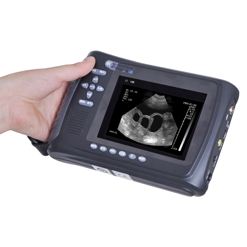 BW Handheld Mecanmed China Vet Dog Cat Veterinary Scanner Ultrasound Fábrica de máquinas