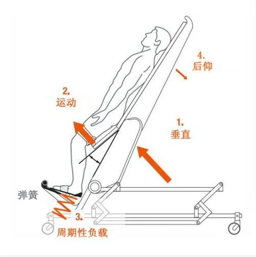 Ergonomic Design Automatically Adapts to Lower Limb Gait Training Rehabilitation Equipment