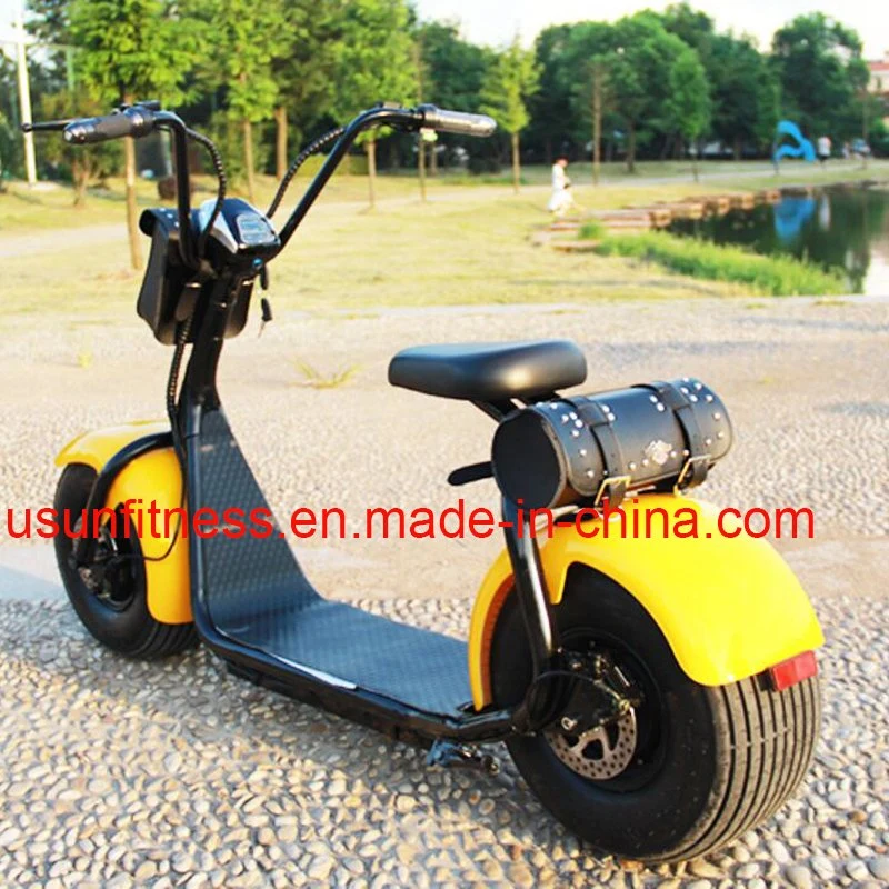 Hot Sale Park and Playground Rental Scooter Electric Scooters Motorcycle Scooter Harley City Coco City Bike with CE