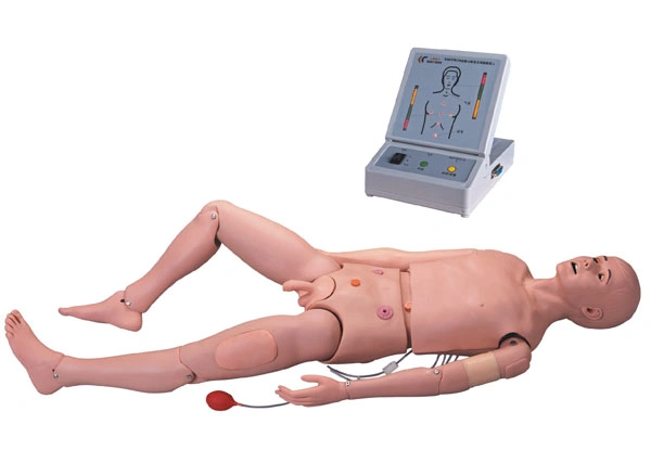 Medical Training Simulaids Manikin Defecation Training Simulator for Nursing Skills