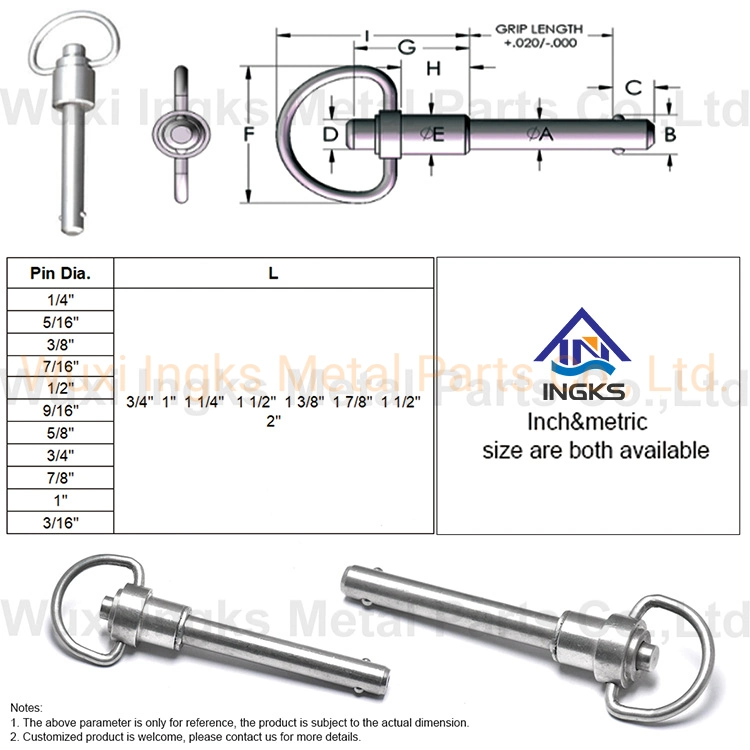 High quality/High cost performance SS304 Button D Ring Handle with Shoulder Quick Release Ball Lock Pin