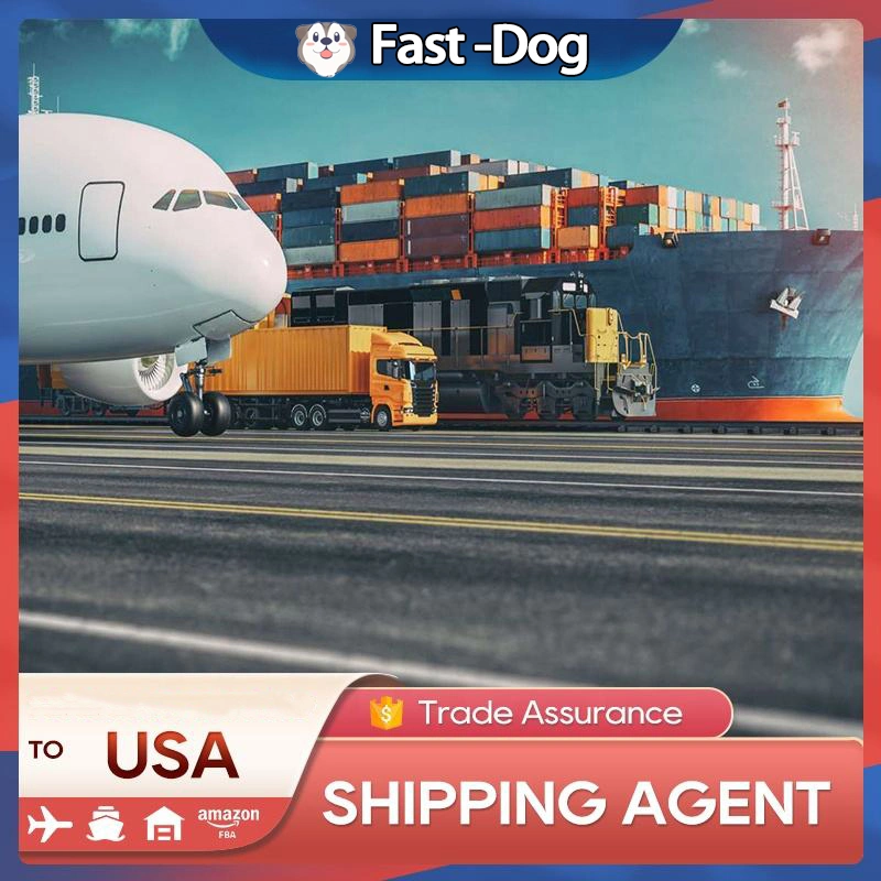 International DHL Express Freight Forwarder Dropshipper Agent