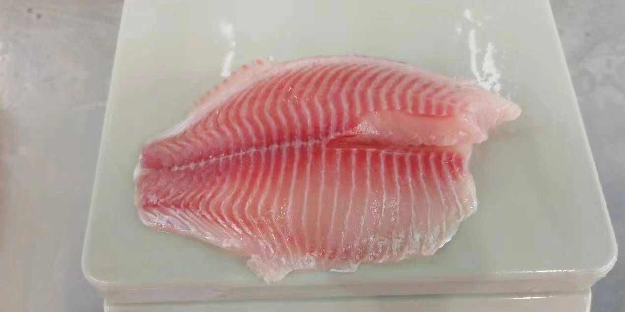 Frozen Tilapia Fillet Fish Sea Food