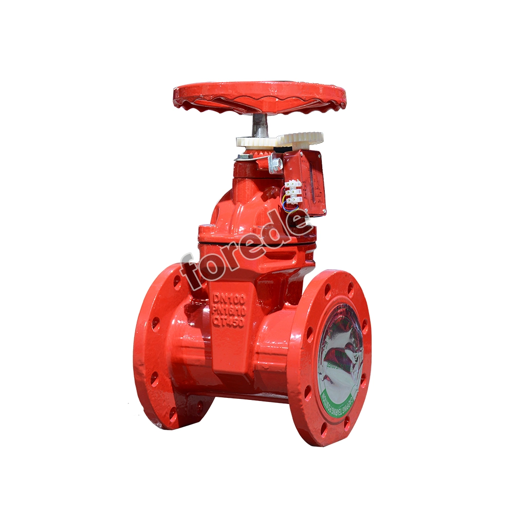 Cast Iron Flange Type Gate Valve