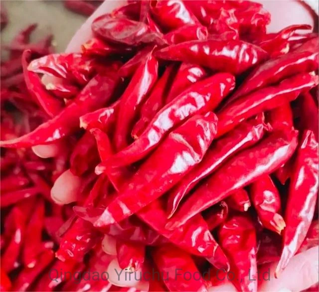 Hot Spicy Wholesale/Supplier Price Dried Chilli Chaotian Dry Red Chilli